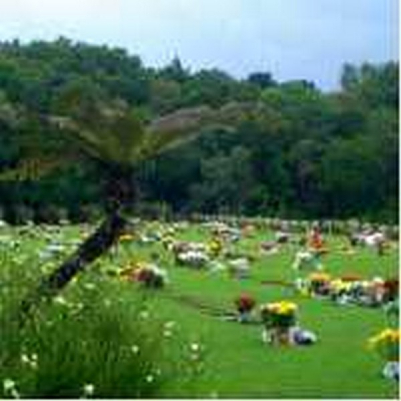 Cemitérios com Atendimento 24 Horas Fernandes Pinheiro - Lote em Cemitério Parque