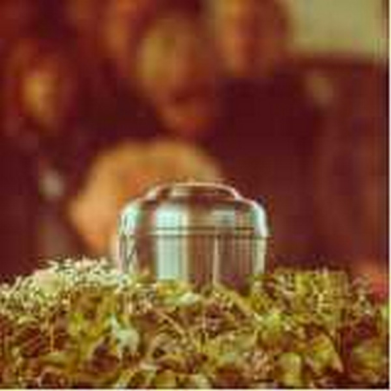 Cremação Preventiva Preço Cafeara - Cremação de Restos Mortais