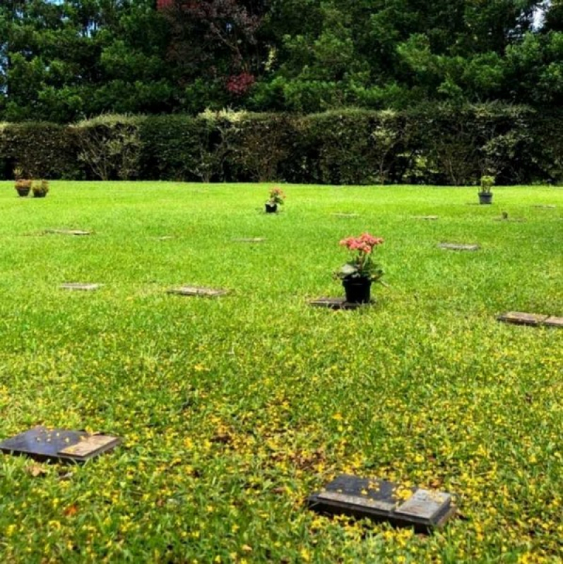 Gaveta em Cemitérios Parque Guaporema - Cemitério