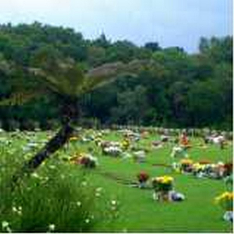 Jazigos em Cemitério Centro Cívico - Jazigos Triplo