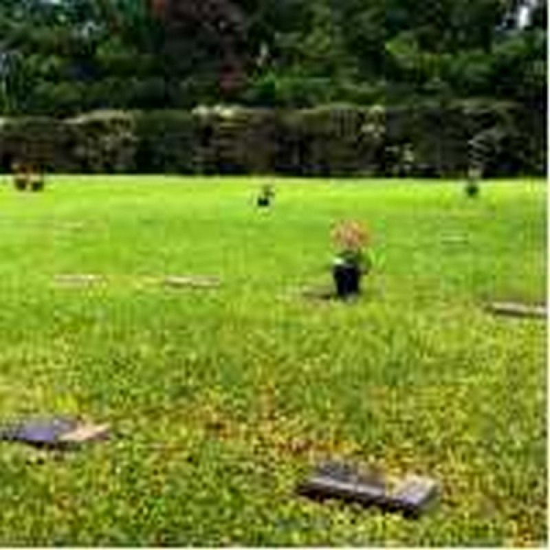 Onde Encontrar Jazigo de Mármore Costeira - Jazigo em Cemitério Parque