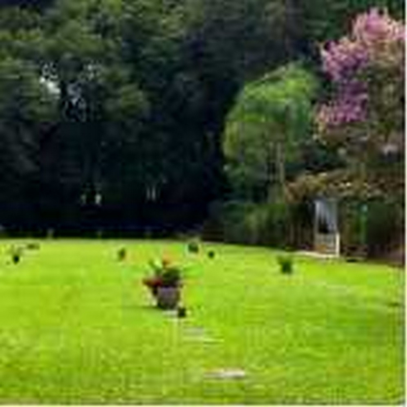 Onde Tem Cemitério para Sepultamento Jardim Botânico - Cemitérios em Curitiba