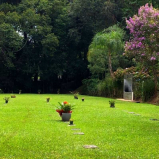 cemitério alto padrão privado Cândido de Abreu