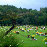cemitério de luxo com serviço de enterro endereço Abranches