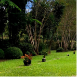 cemitérios parque atendimento 24 horas Capitão Leônidas Marques