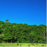 cotação de plano funerário cemitério parque Espigão Alto do Iguaçu