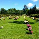 jazigos em cemitério preço Jardim Botânico