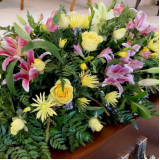planos-funerarios-plano-funeral-com-locacao-de-jazigo-cotacao-de-plano-funerario-com-tanatopraxia-jardim-america