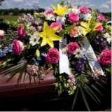 serviço funerário sepultamento em cemitério parque valores Paranagua